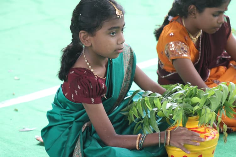 Bonalu 160
