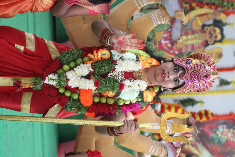 Bonalu 166