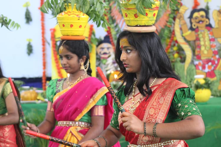 Bonalu 173