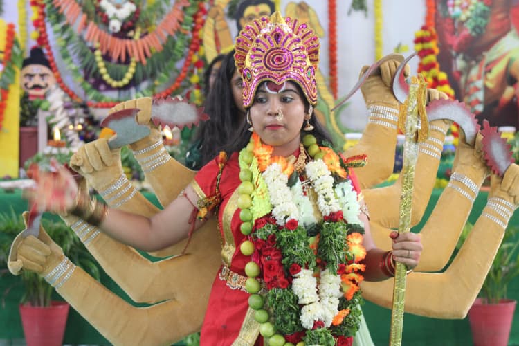 Bonalu 203