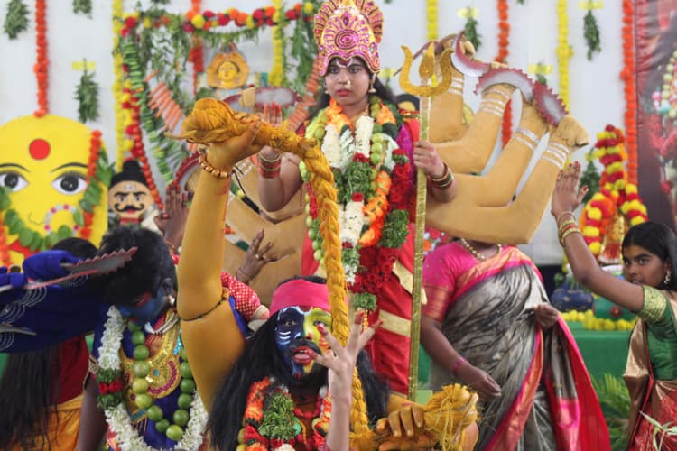 Bonalu 209