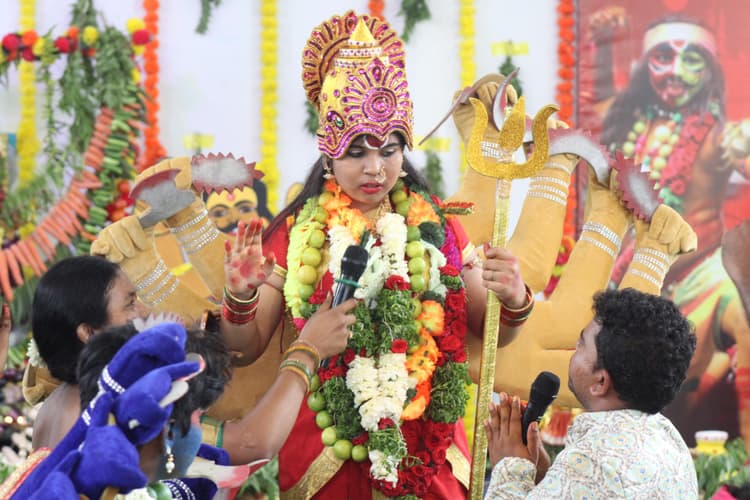Bonalu 210