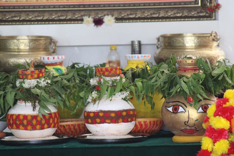 Bonalu 61