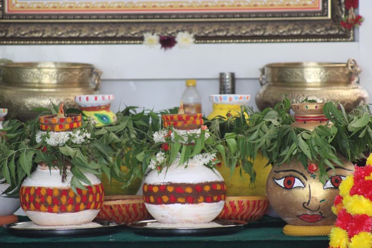 Bonalu 62