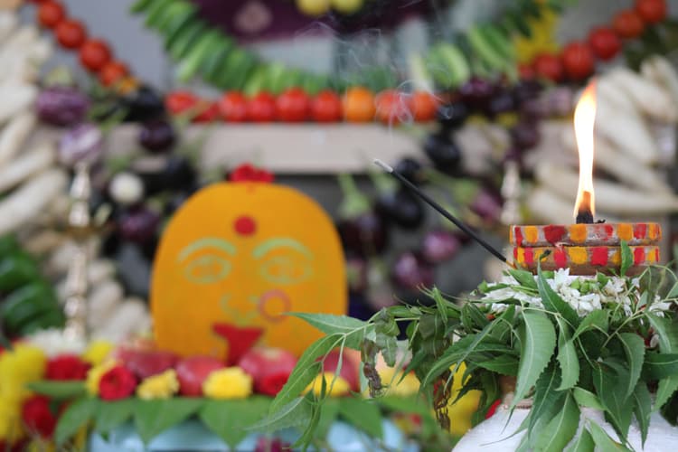 Bonalu 96